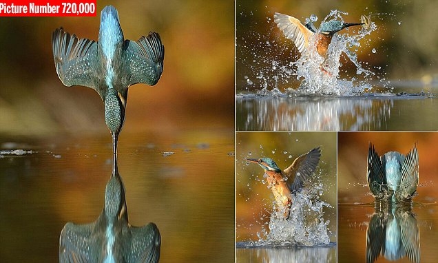 photo by Alan McFadyen