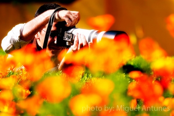 10 советов, как получить лучшие фотографии цветов