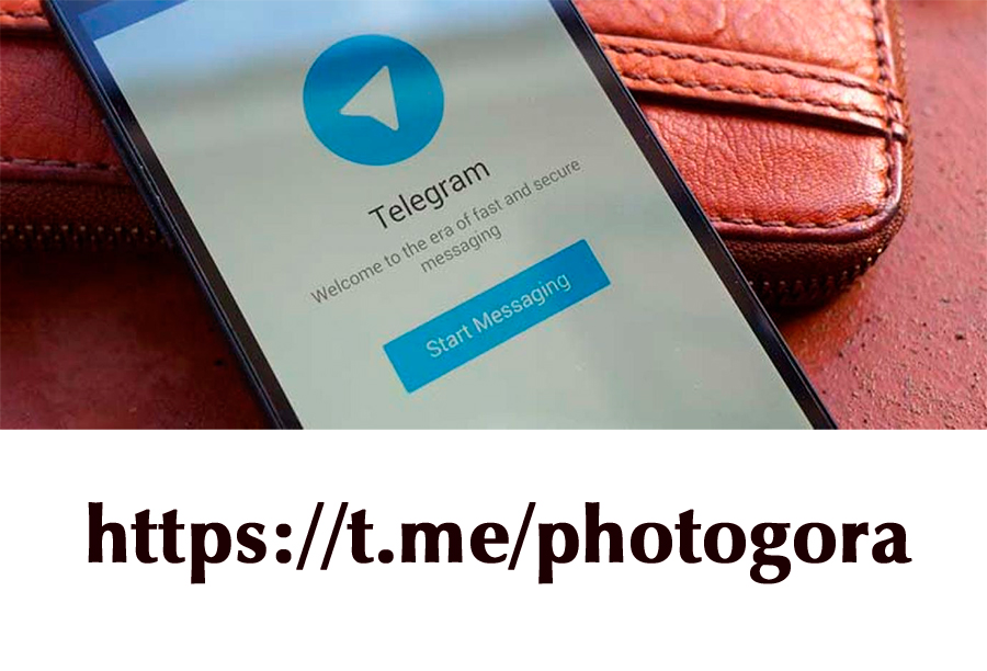 канал блога в Телеграме