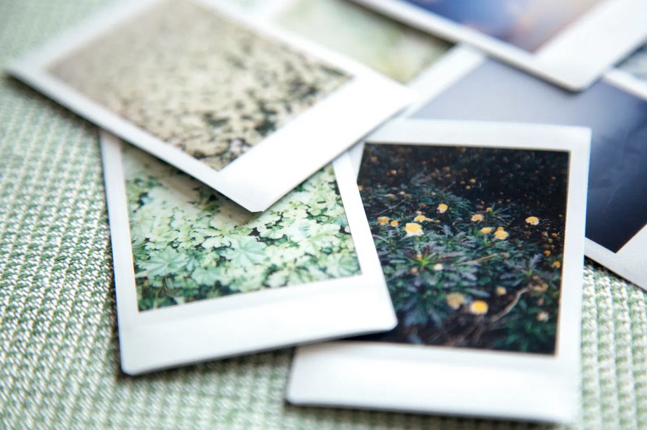 Как использование камер мгновенной печати может улучшить вашу фотографию