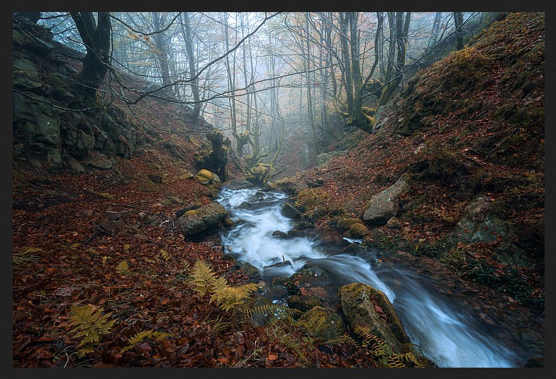 Лучшее ISO для пейзажной фотографии
