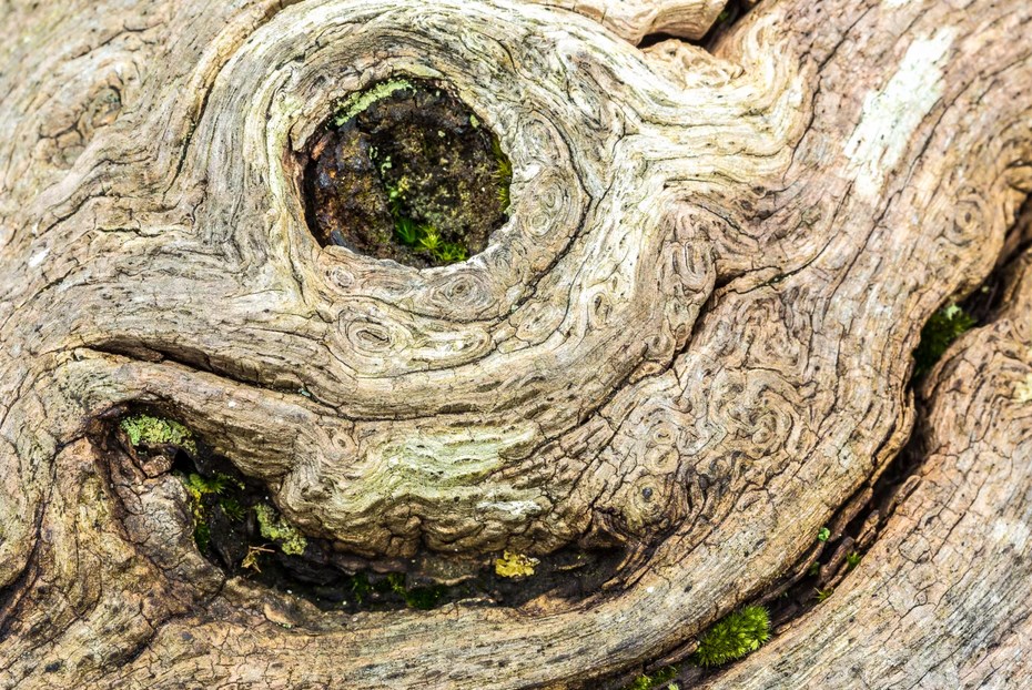 Абстрактная уличная фотография: основное руководство
