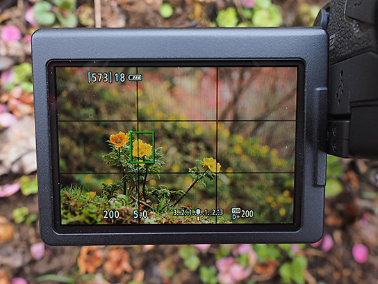 Три функции камеры для точной настройки пейзажных снимков