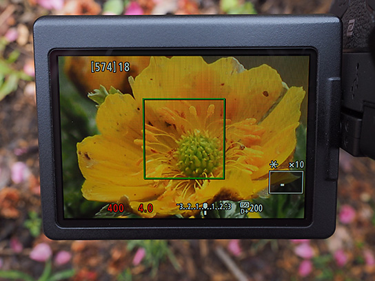 Три функции камеры для точной настройки пейзажных снимков