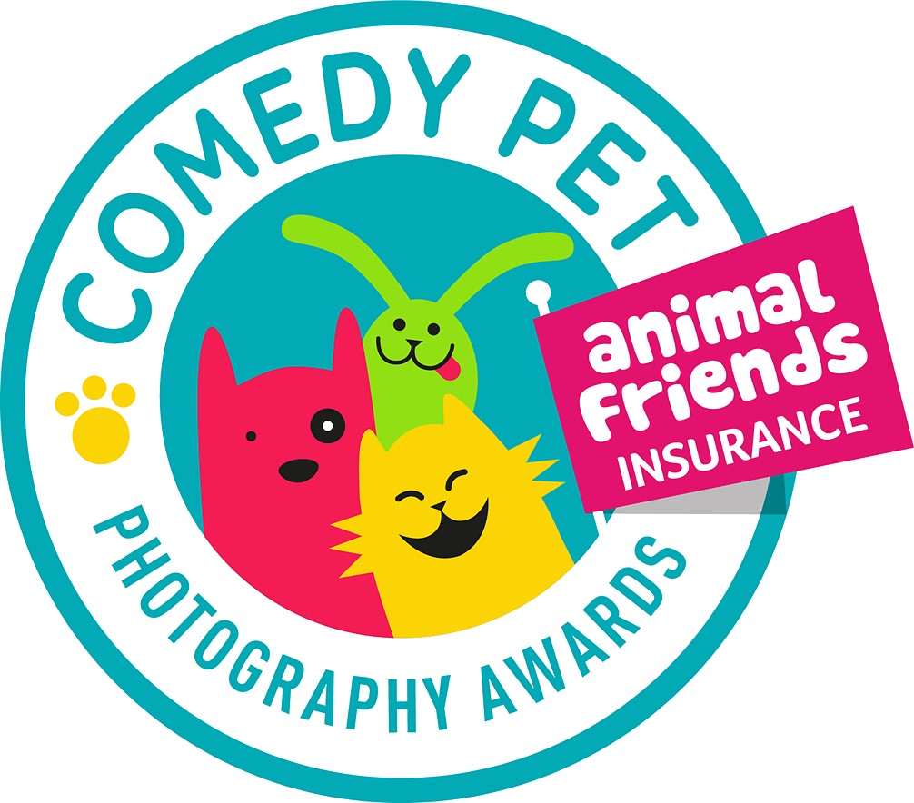 Забавные фото животных от финалистов Comedy Pet Photo Awards 2022
