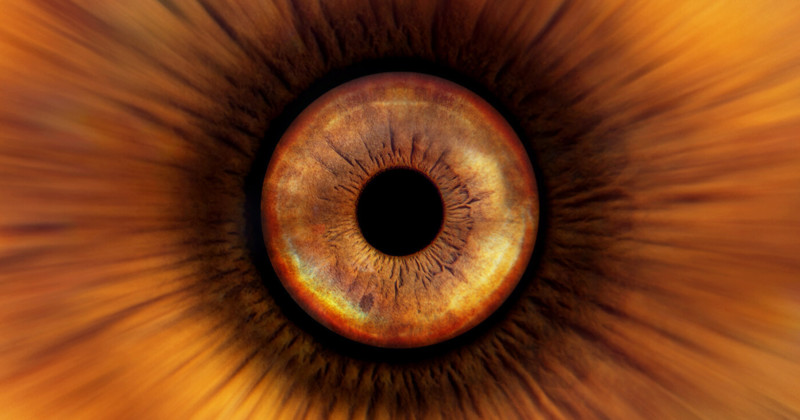 Оранжевые Глаза Фото