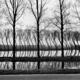 photo by Marc Riboud
