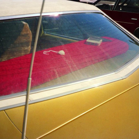 Photo by William Eggleston